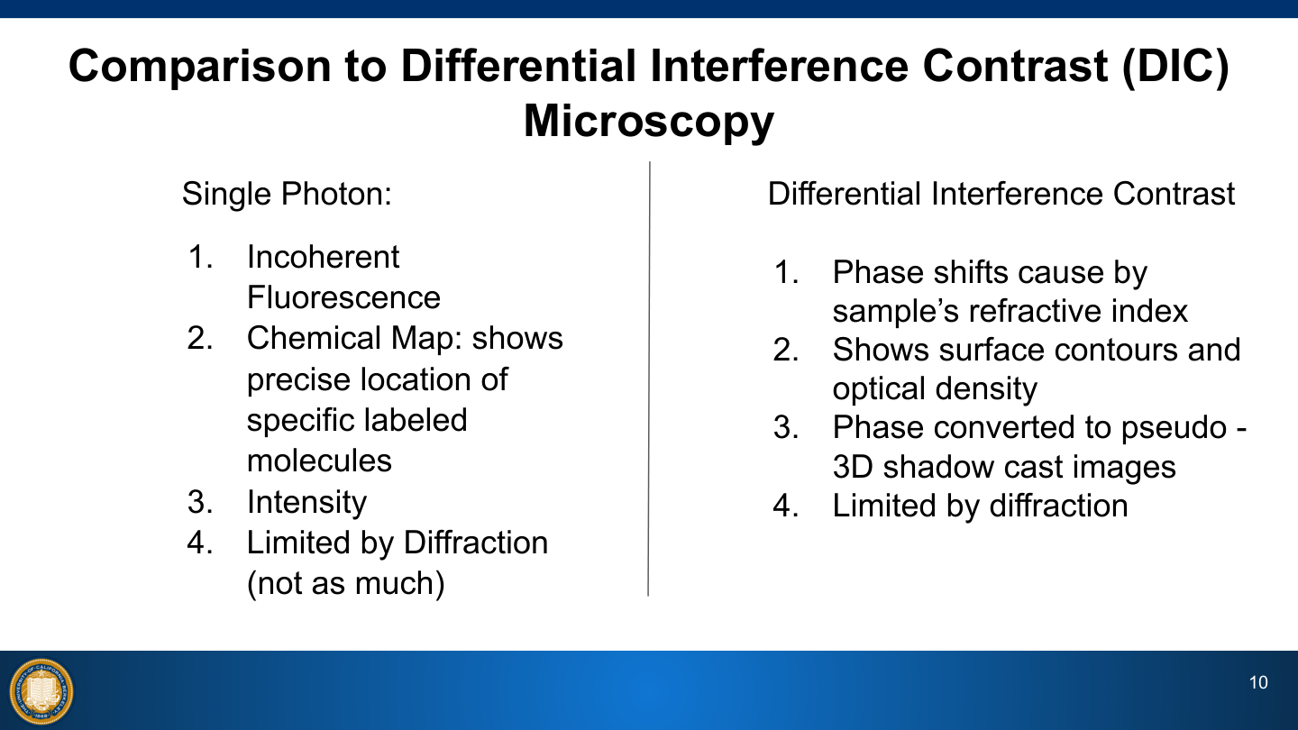 Single-photon fluorescence versus DIC microscopy