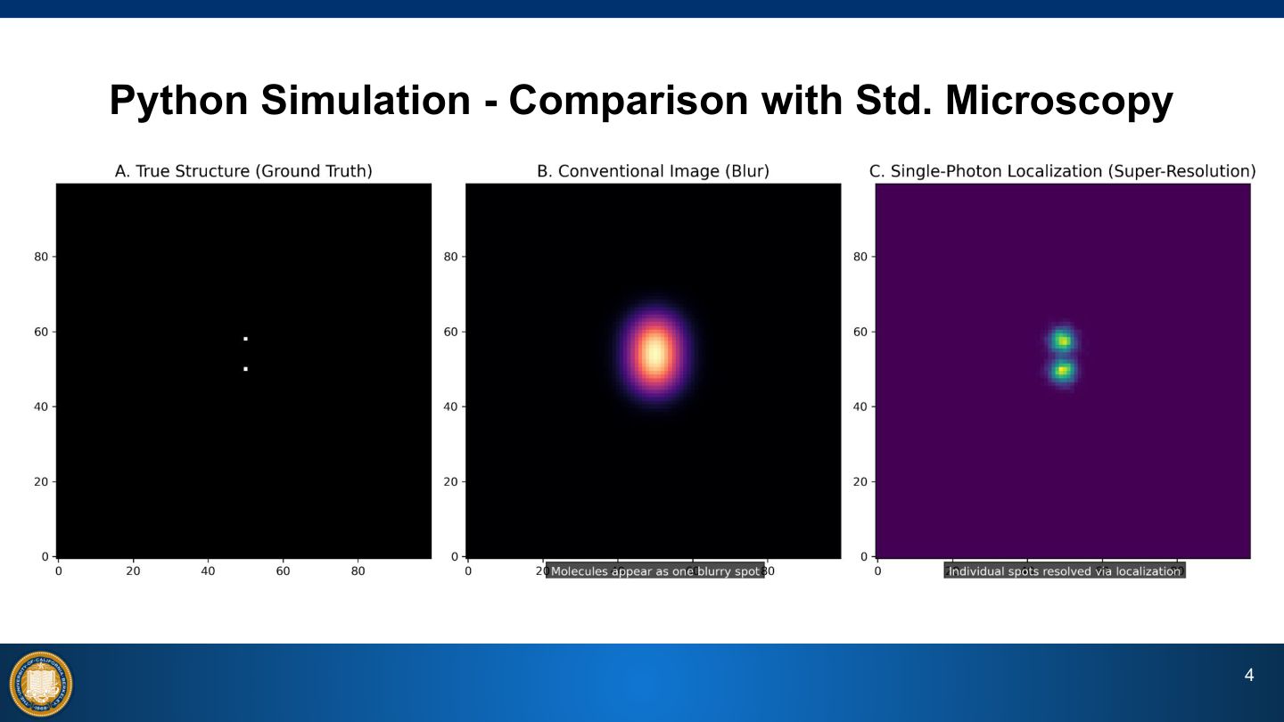 Single-photon microscopy simulation comparison